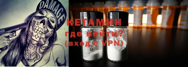 индика Богородицк