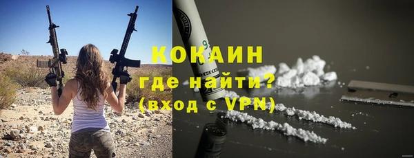 индика Богородицк