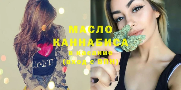индика Богородицк