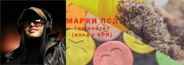 индика Богородицк
