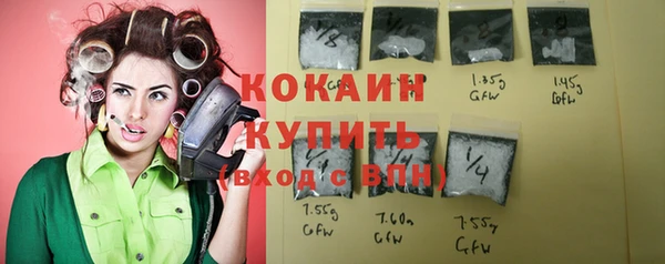 мескалин Богданович