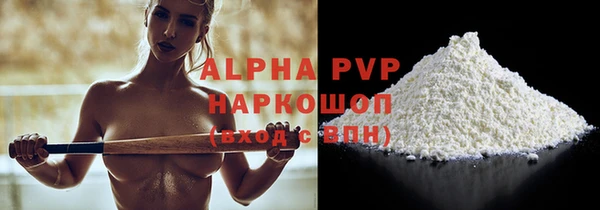 индика Богородицк