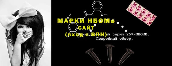индика Богородицк