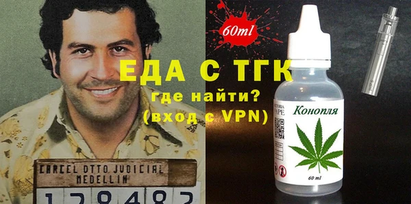 индика Богородицк