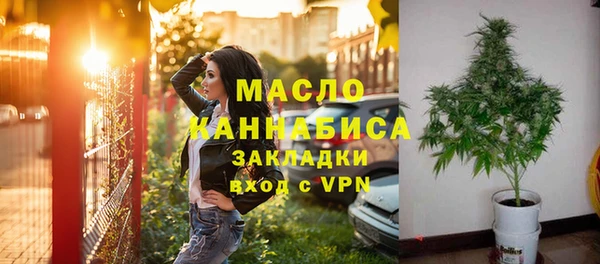 индика Богородицк