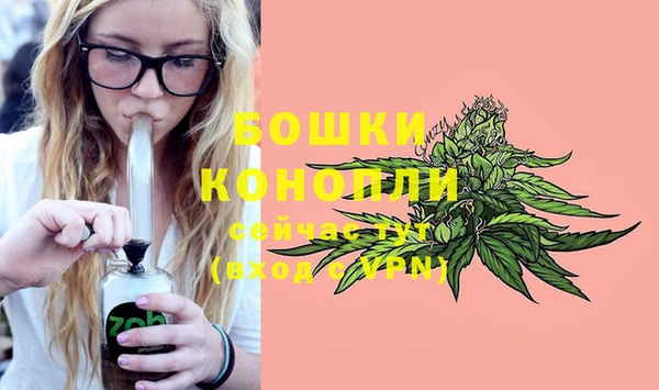 индика Богородицк