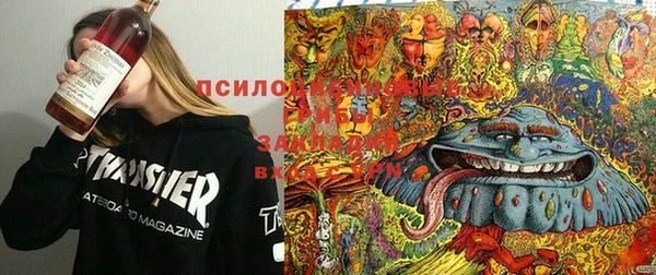 индика Богородицк