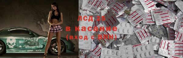 мескалин Богданович