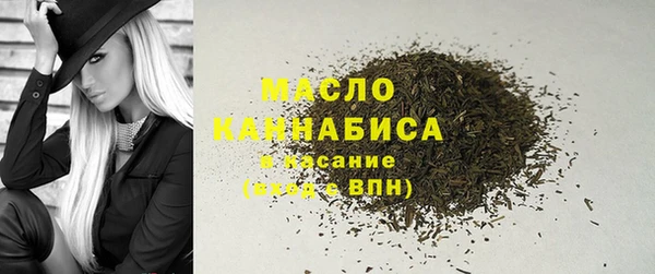 индика Богородицк