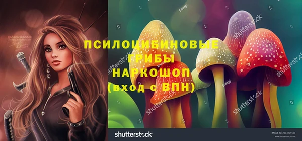 мескалин Богданович