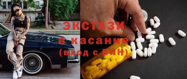 индика Богородицк