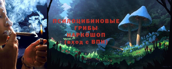 мескалин Богданович