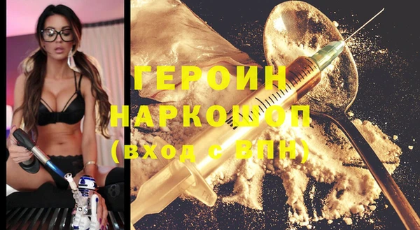 индика Богородицк