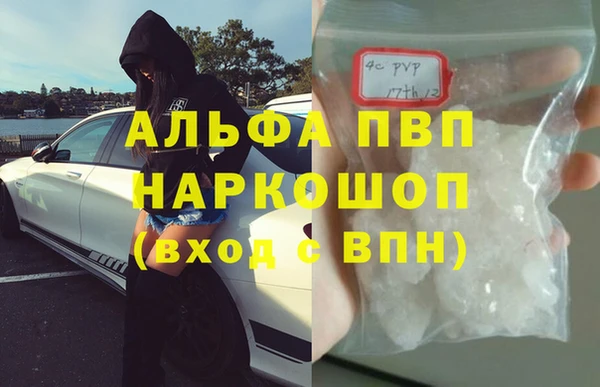 мескалин Богданович