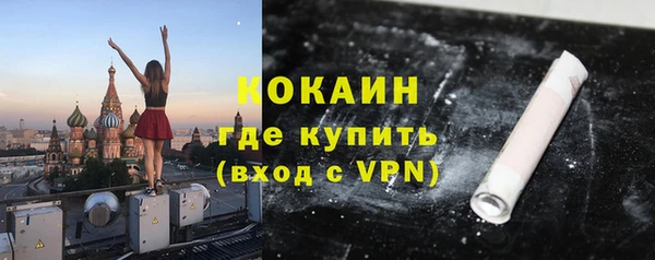 индика Богородицк
