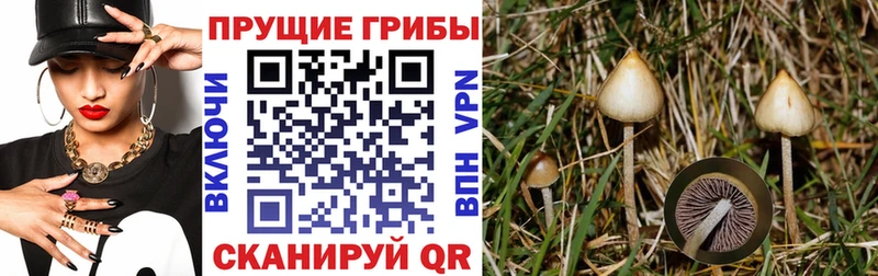 Галлюциногенные грибы Magic Shrooms  Ясногорск 